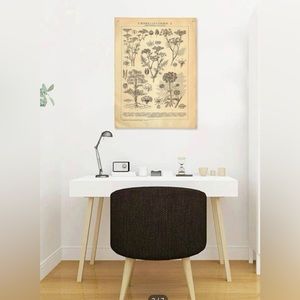 BOGO Apothecary flower plant botany vintage textbook tapestry fabric poster